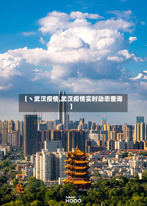 【丶武汉疫情,武汉疫情实时动态查询】