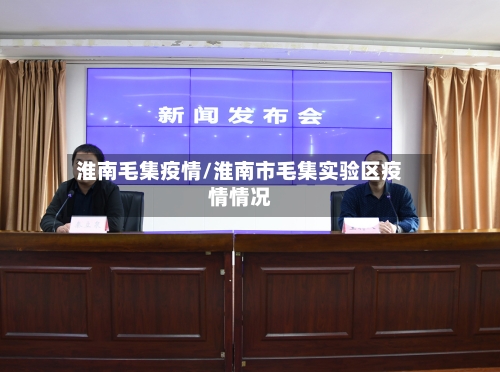 淮南毛集疫情/淮南市毛集实验区疫情情况