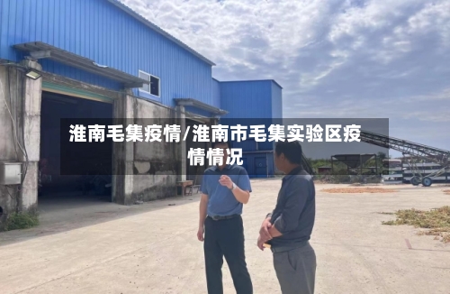 淮南毛集疫情/淮南市毛集实验区疫情情况-第2张图片