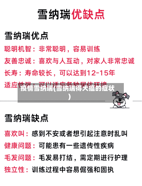 疫情雪纳瑞(雪纳瑞得犬瘟的症状)-第2张图片