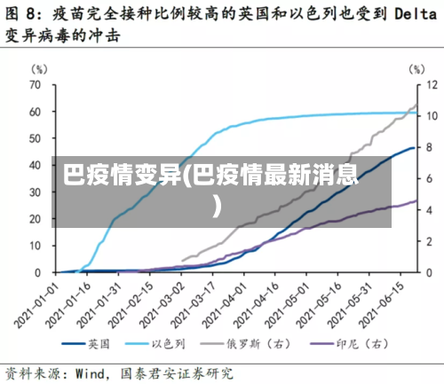 巴疫情变异(巴疫情最新消息)