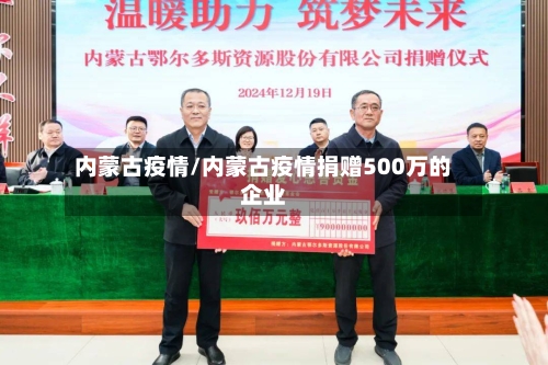 内蒙古疫情/内蒙古疫情捐赠500万的企业