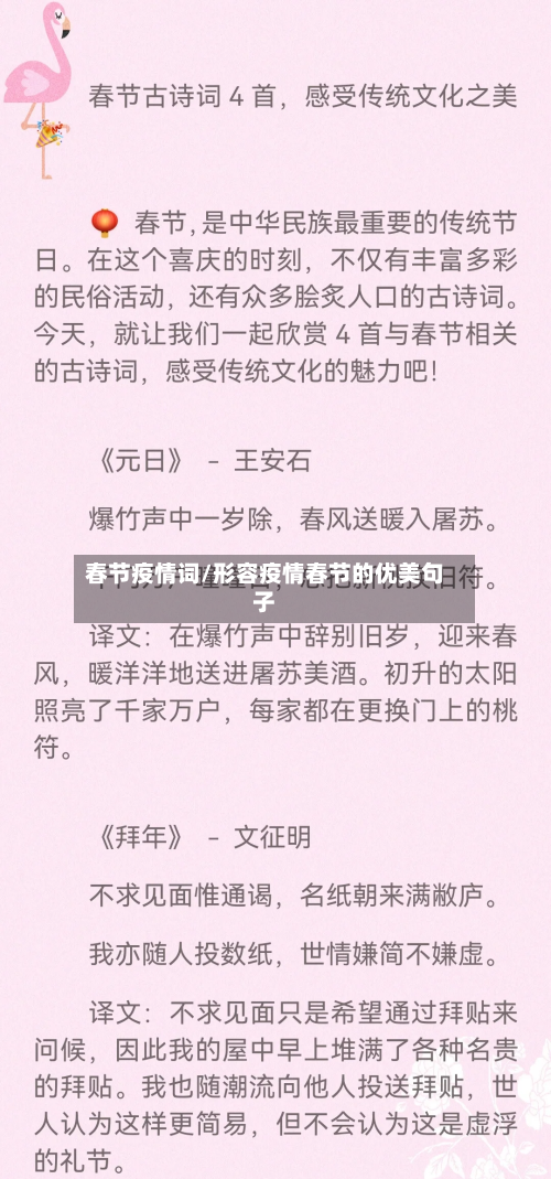春节疫情词/形容疫情春节的优美句子-第2张图片
