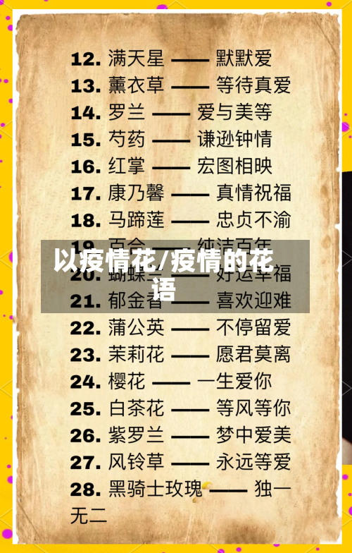 以疫情花/疫情的花语