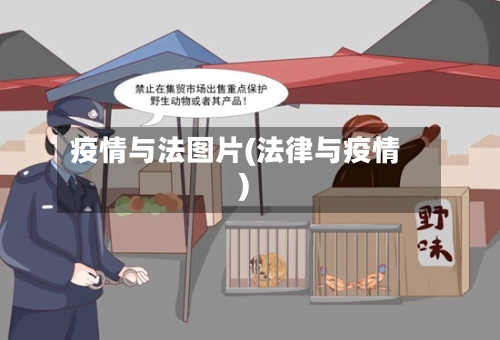 疫情与法图片(法律与疫情)-第3张图片