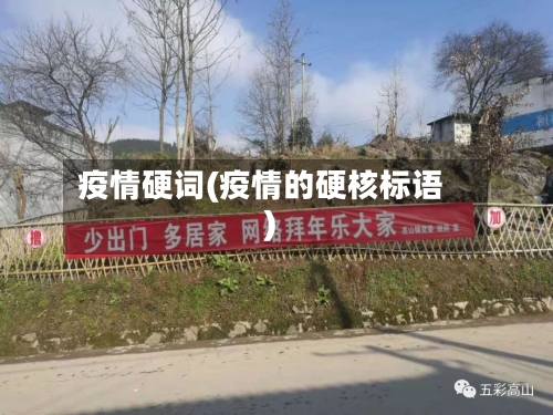 疫情硬词(疫情的硬核标语)-第2张图片