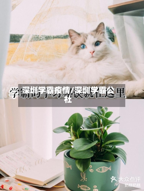 深圳学霸疫情/深圳学霸公社-第3张图片