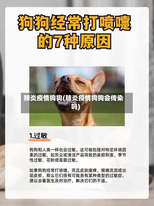 肺炎疫情狗狗(肺炎疫情狗狗会传染吗)-第2张图片