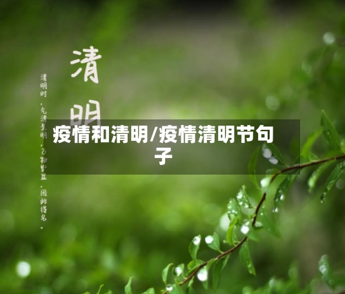疫情和清明/疫情清明节句子