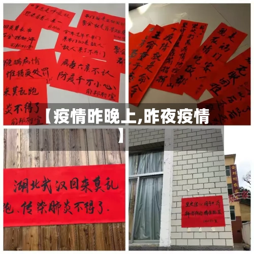 【疫情昨晚上,昨夜疫情】