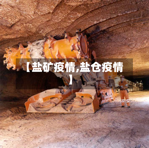 【盐矿疫情,盐仓疫情】-第2张图片