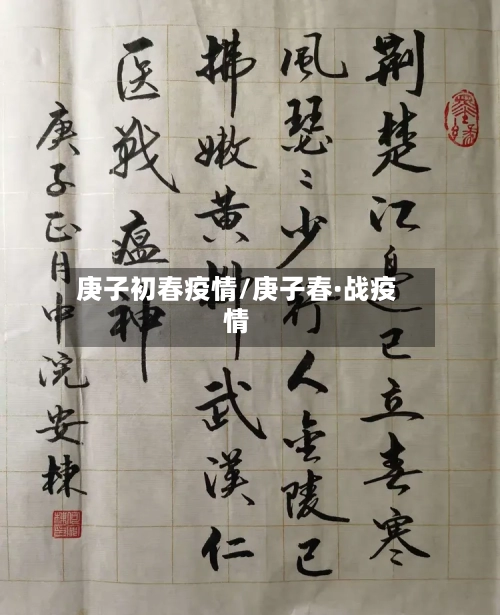 庚子初春疫情/庚子春·战疫情