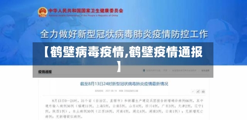 【鹤壁病毒疫情,鹤壁疫情通报】-第2张图片