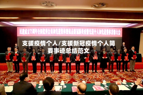 支援疫情个人/支援新冠疫情个人简要事迹总结范文-第2张图片