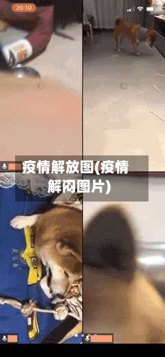 疫情解放图(疫情解闷图片)-第2张图片