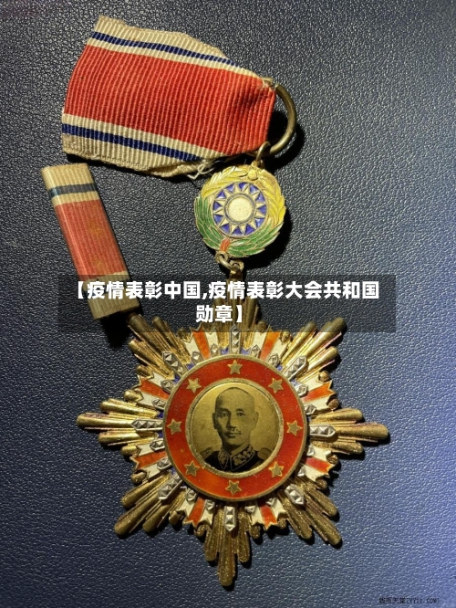 【疫情表彰中国,疫情表彰大会共和国勋章】-第2张图片