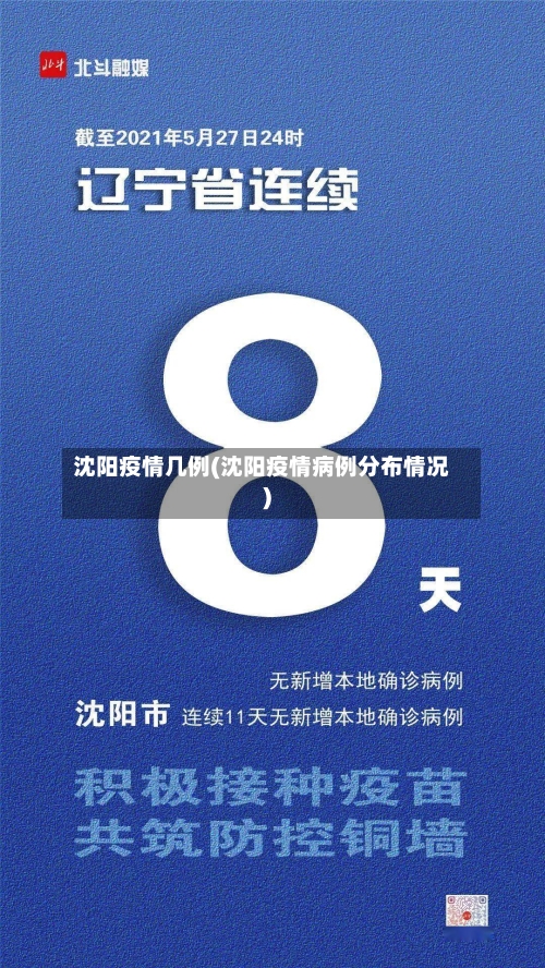 沈阳疫情几例(沈阳疫情病例分布情况)-第3张图片