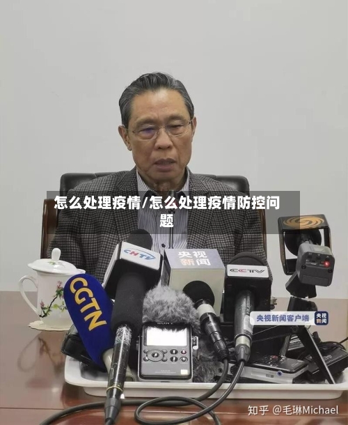 怎么处理疫情/怎么处理疫情防控问题-第2张图片