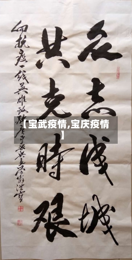 【宝武疫情,宝庆疫情】