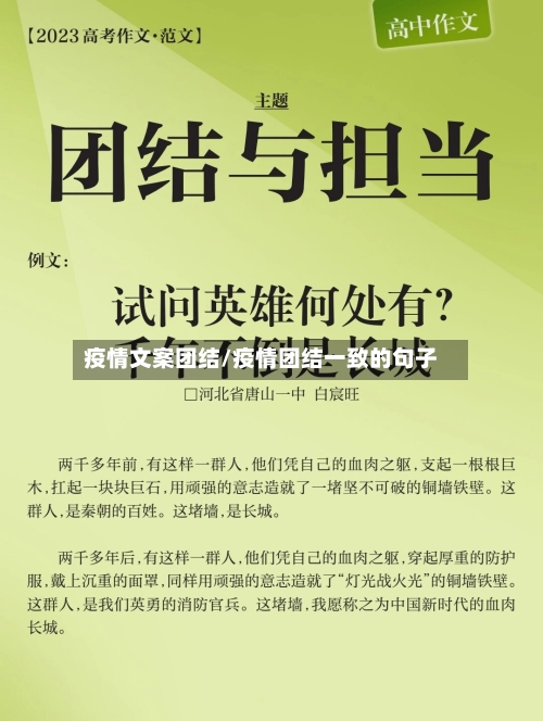 疫情文案团结/疫情团结一致的句子