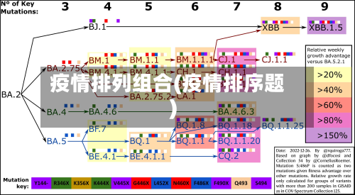 疫情排列组合(疫情排序题)-第2张图片