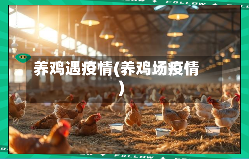 养鸡遇疫情(养鸡场疫情)