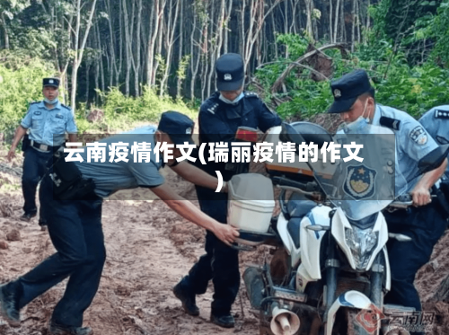 云南疫情作文(瑞丽疫情的作文)-第2张图片