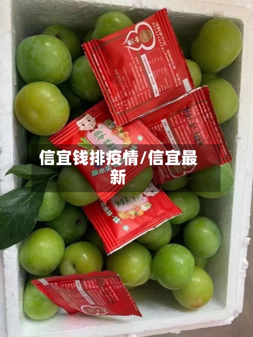 信宜钱排疫情/信宜最新
