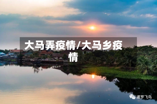 大马弄疫情/大马乡疫情-第3张图片