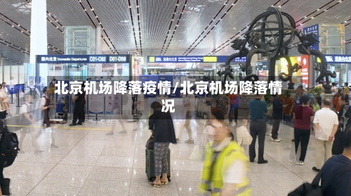 北京机场降落疫情/北京机场降落情况