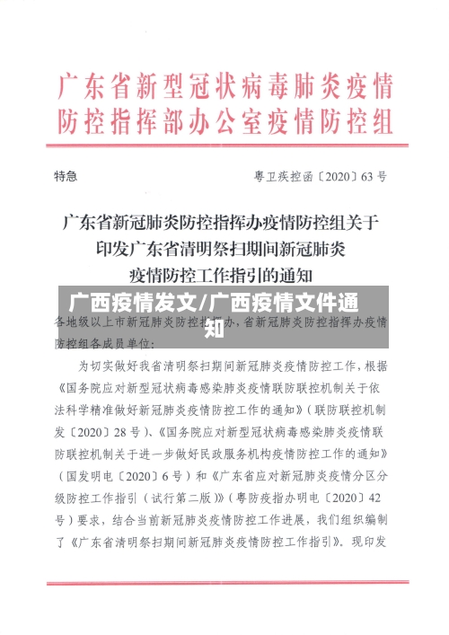 广西疫情发文/广西疫情文件通知-第3张图片