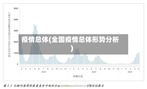 疫情总体(全国疫情总体形势分析)