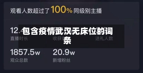 包含疫情武汉无床位的词条