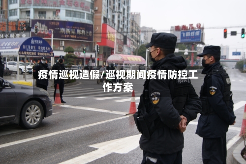 疫情巡视造假/巡视期间疫情防控工作方案