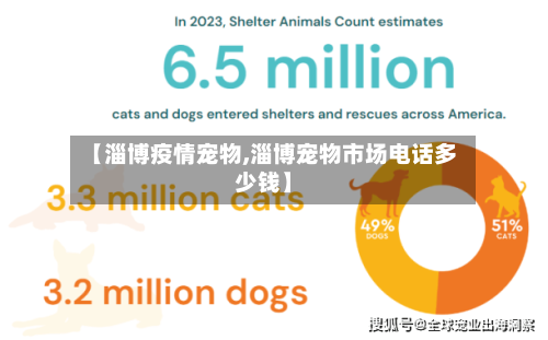 【淄博疫情宠物,淄博宠物市场电话多少钱】
