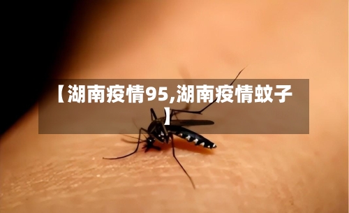 【湖南疫情95,湖南疫情蚊子】-第2张图片