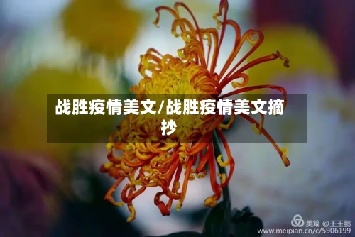 战胜疫情美文/战胜疫情美文摘抄