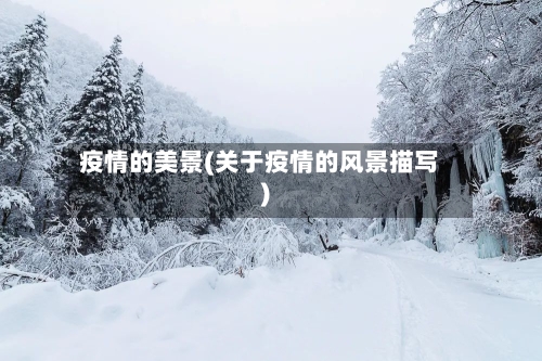 疫情的美景(关于疫情的风景描写)