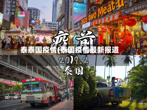 泰泰国疫情(泰国疫情最新报道)-第3张图片