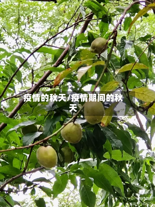 疫情的秋天/疫情期间的秋天