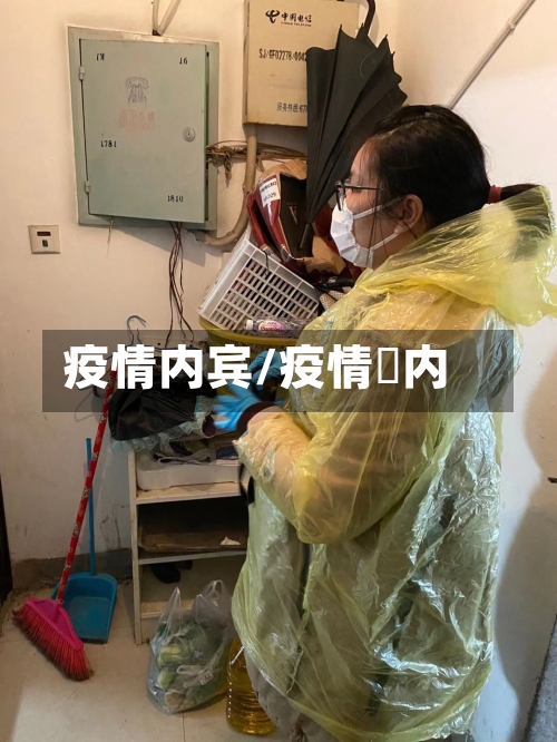 疫情内宾/疫情囯内-第3张图片