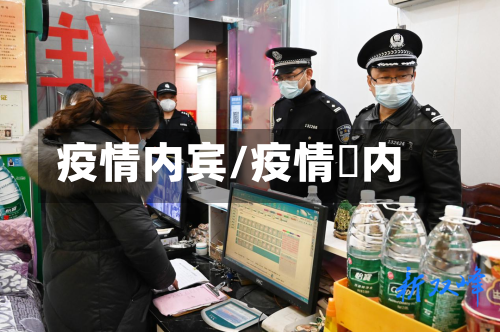 疫情内宾/疫情囯内
