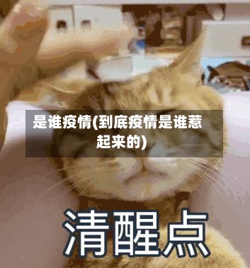 是谁疫情(到底疫情是谁惹起来的)-第2张图片