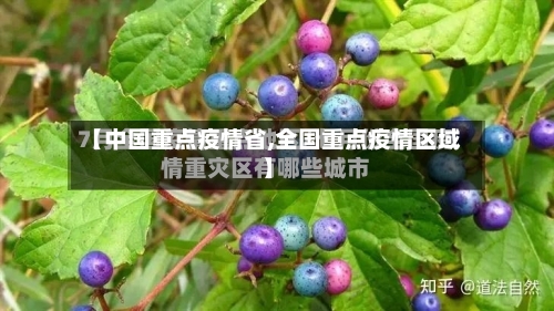 【中国重点疫情省,全国重点疫情区域】