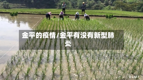 金平的疫情/金平有没有新型肺炎-第2张图片