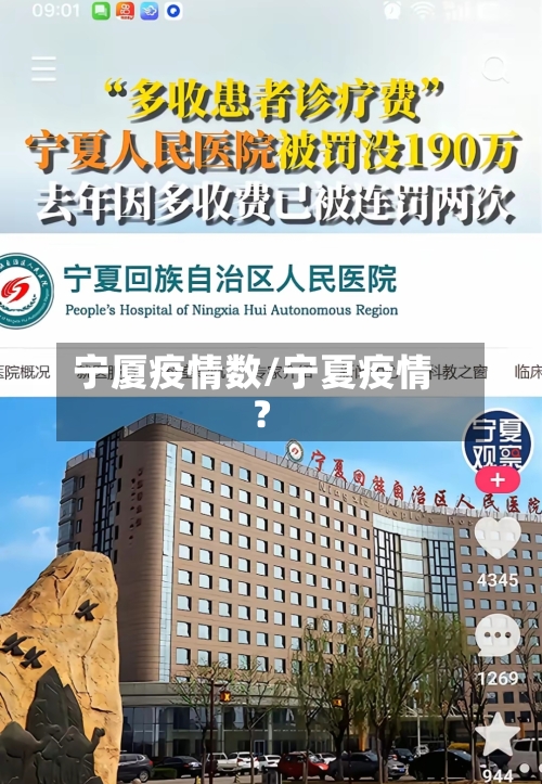 宁厦疫情数/宁夏疫情?