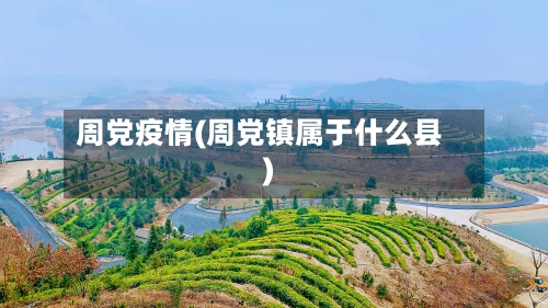 周党疫情(周党镇属于什么县)
