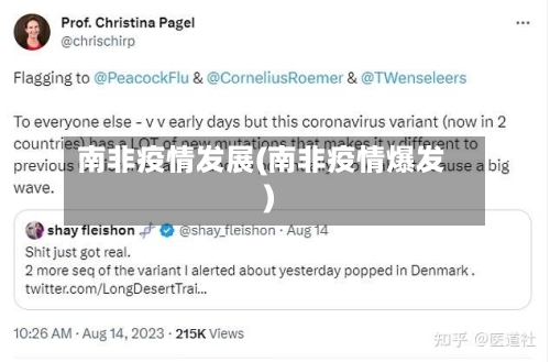 南非疫情发展(南非疫情爆发)-第3张图片
