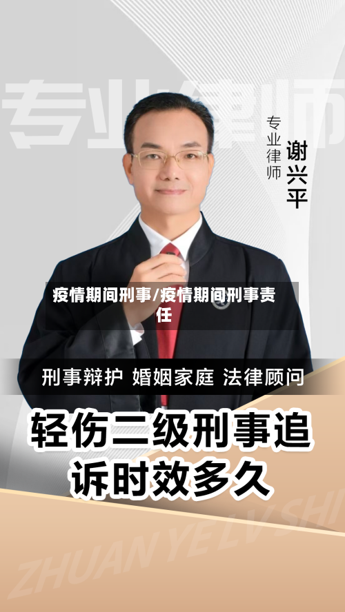 疫情期间刑事/疫情期间刑事责任