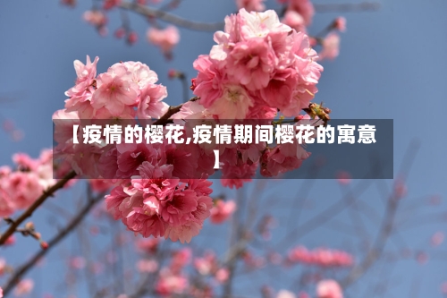 【疫情的樱花,疫情期间樱花的寓意】-第2张图片